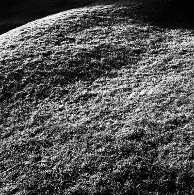 The ground at Ross 7