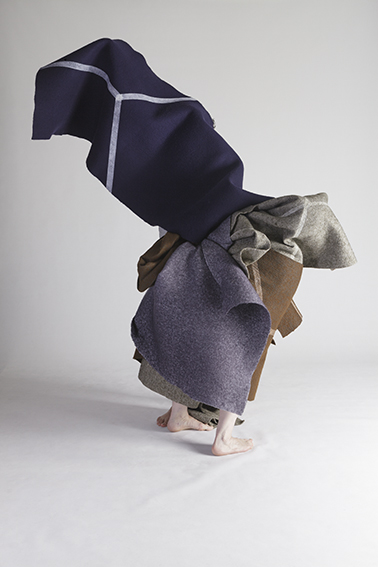 Pale-headed flycatcher, 2013