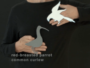 Screen Shot 2015-07-02 at 10.42.21 AM